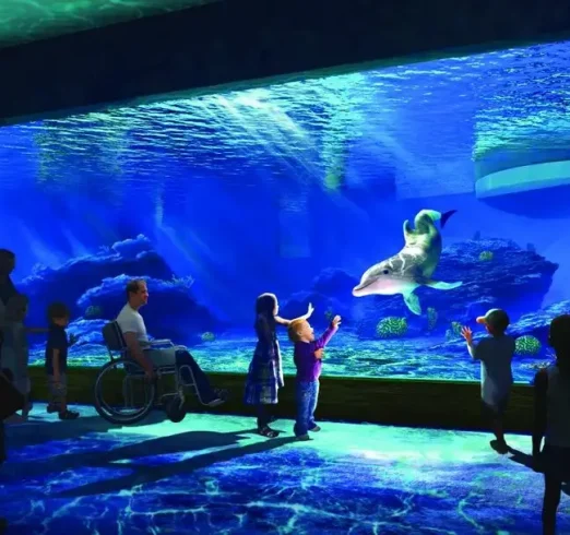 clearwater+aquarium